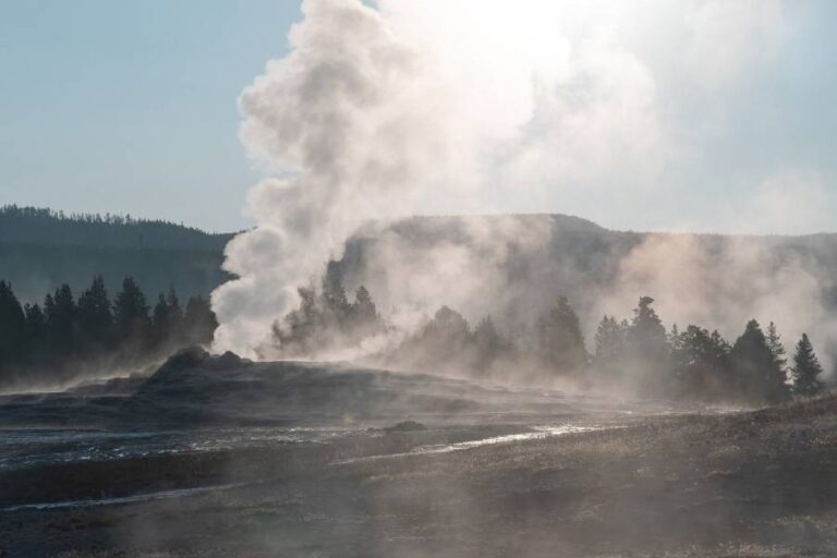 picture of a geyser in Yellowstone National Park